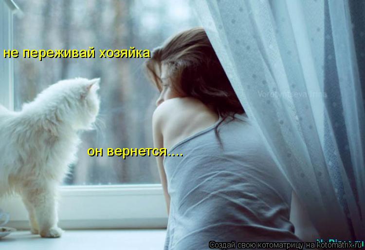 Котоматрица: не переживай хозяйка он вернется....