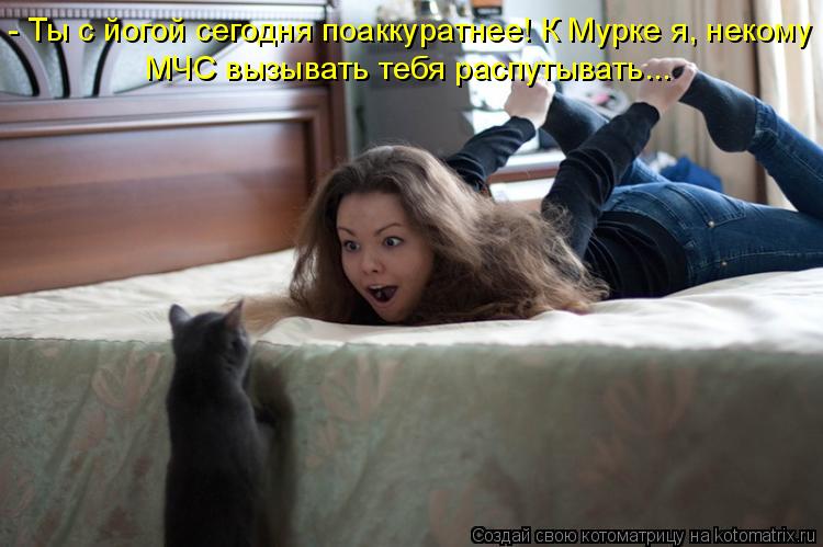 - Ты с йогой сегодня поаккуратнее! К Мурке я, некому МЧС вызывать тебя распутывать...... Котоматрица: - Ты с йогой сегодня поаккуратнее! К Мурке я, некому МЧС вызывать тебя распутывать...