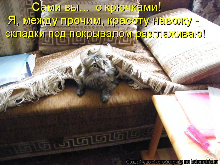 Котоматрица: Сами вы...  с крючками! Я, между прочим, красоту навожу - складки под покрывалом разглаживаю!