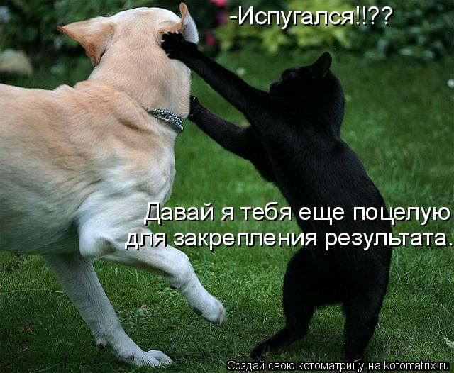 -Испугался!!?? Давай я тебя еще поцелую для закрепления результата.... Котоматрица: -Испугался!!?? Давай я тебя еще поцелую для закрепления результата.