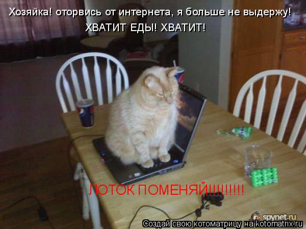 Хозяйка! оторвись от интернета, я больше не выдержу! ХВАТИТ ЕДЫ! ХВАТИТ! ЛОТОК ПОМЕНЯЙ!!!!!!!!!... Котоматрица: Хозяйка! оторвись от интернета, я больше не выдержу! ХВАТИТ ЕДЫ! ХВАТИТ! ЛОТОК ПОМЕНЯЙ!!!!!!!!!