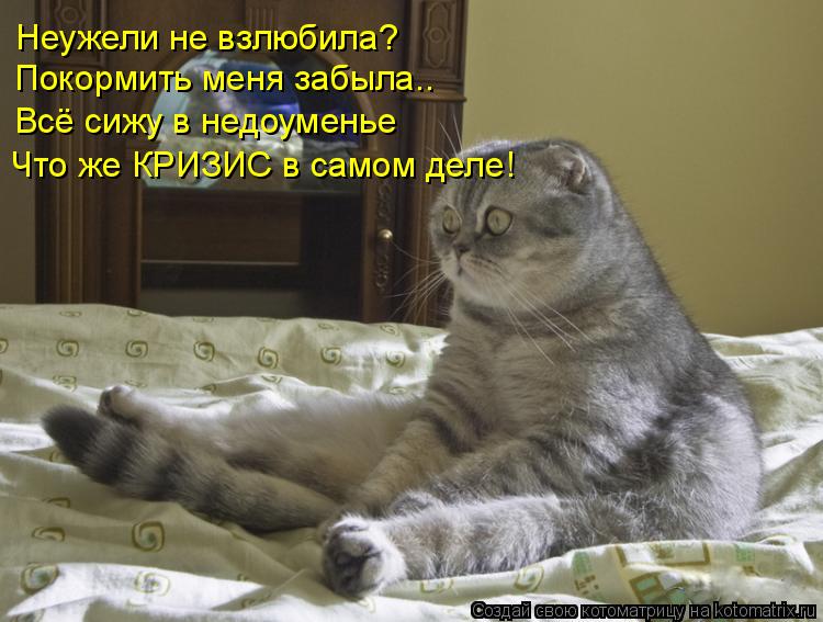 Котоматрица: Неужели не взлюбила? Покормить меня забыла.. Всё сижу в недоуменье Что же КРИЗИС в самом деле!