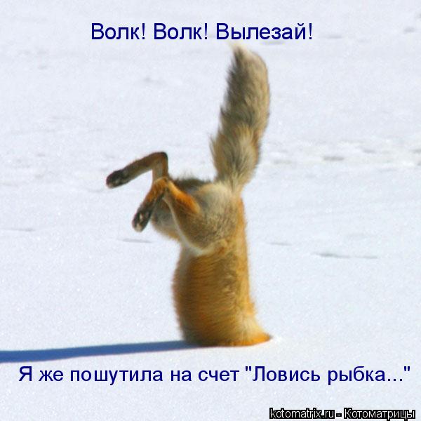 Котоматрица: Волк! Волк! Вылезай! Я же пошутила на счет "Ловись рыбка..."
