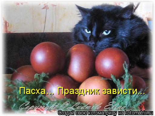 Котоматрица: Пасха... Праздник зависти...