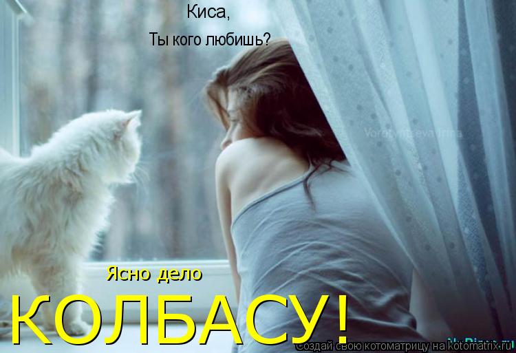 Киса, Ты кого любишь? Ясно дело КОЛБАСУ!... Котоматрица: Киса, Ты кого любишь? Ясно дело КОЛБАСУ!