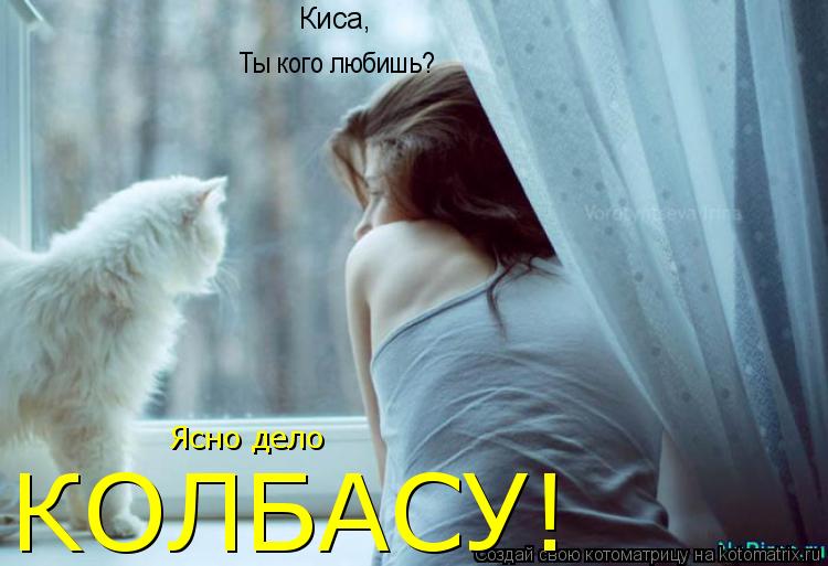 Котоматрица: Киса,  Ты кого любишь? Ясно дело КОЛБАСУ!