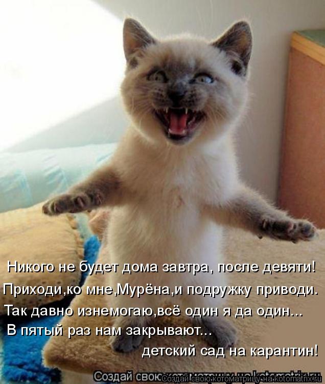 Никого не будет дома завтра, после девяти! Приходи,ко мне,Мурёна,и подружку приводи. Так давно изнемо... Котоматрица: Никого не будет дома завтра, после девяти! Приходи,ко мне,Мурёна,и подружку приводи. Так давно изнемогаю,всё один я да один... В пятый раз нам