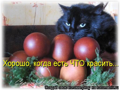 Котоматрица: Хорошо, когда есть ЧТО красить...