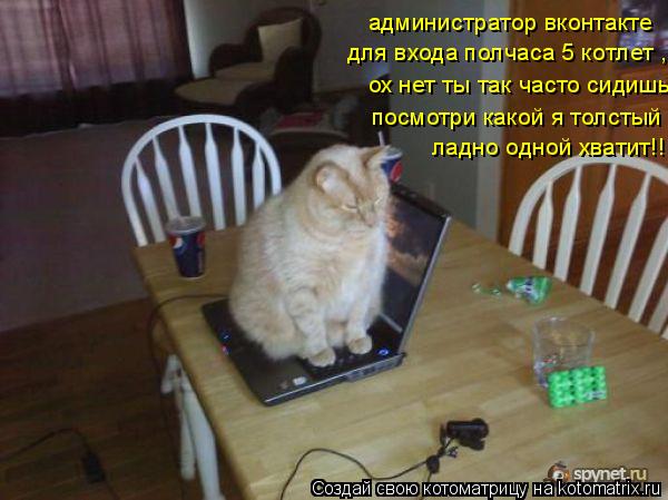 Котоматрица: администратор вконтакте  для входа полчаса 5 котлет ,  ох нет ты так часто сидишь  посмотри какой я толстый ,  ладно одной хватит!!