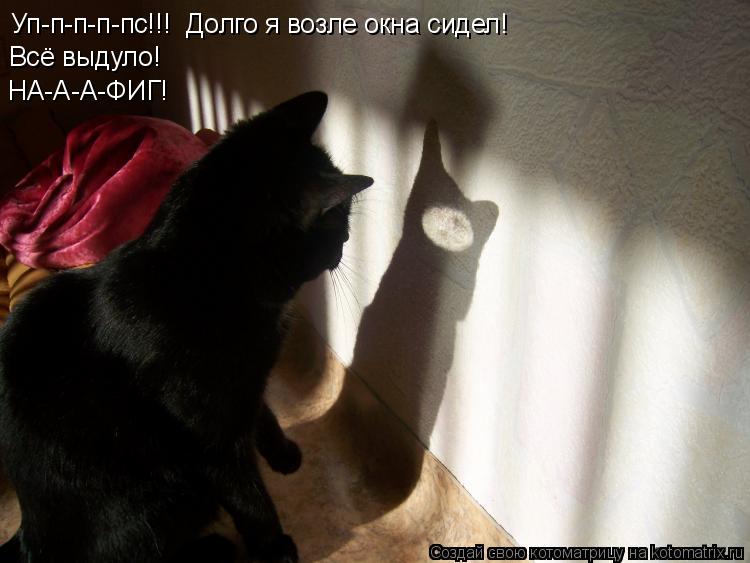 Уп-п-п-п-пс!!! Долго я возле окна сидел! Всё выдуло! НА-А-А-ФИГ!... Котоматрица: Уп-п-п-п-пс!!! Долго я возле окна сидел! Всё выдуло! НА-А-А-ФИГ!