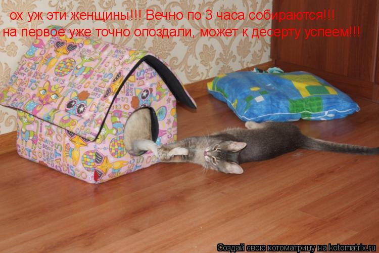 Котоматрица: ох уж эти женщины!!! Вечно по 3 часа собираются!!! на первое уже точно опоздали, может к десерту успеем!!!