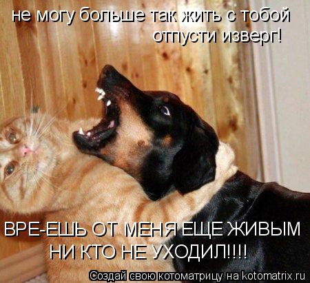 не могу больше так жить с тобой отпусти изверг! ВРЕ-ЕШЬ ОТ МЕНЯ ЕЩЕ ЖИВЫМ НИ КТО НЕ УХОДИЛ!!!!... Котоматрица: не могу больше так жить с тобой отпусти изверг! ВРЕ-ЕШЬ ОТ МЕНЯ ЕЩЕ ЖИВЫМ НИ КТО НЕ УХОДИЛ!!!!