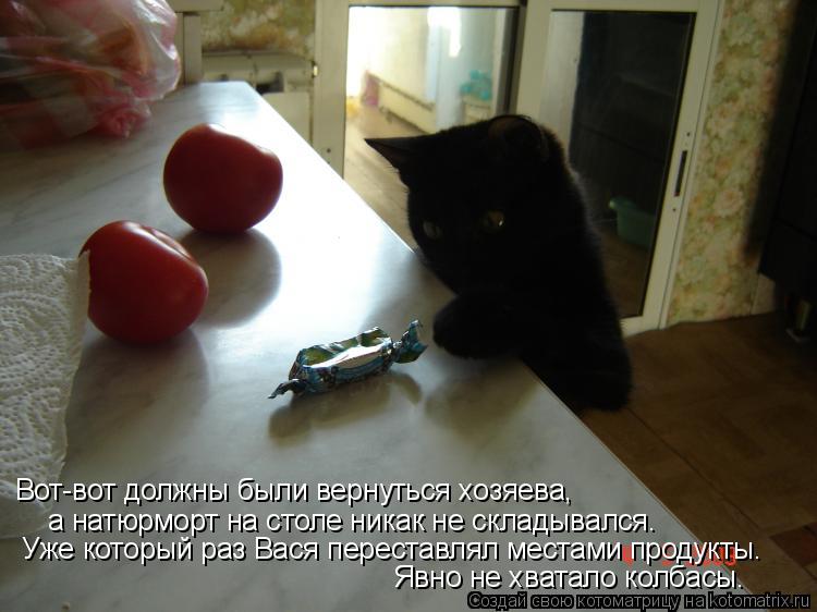 Вот-вот должны были вернуться хозяева, а натюрморт на столе никак не складывался. Уже который раз В... Котоматрица: Вот-вот должны были вернуться хозяева, а натюрморт на столе никак не складывался. Уже который раз Вася переставлял местами продукты. Явно