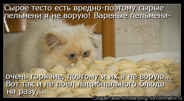 Сырое тесто есть вредно-поэтому сырые пельмени я не ворую! Вареные пельмени- очень горячие, поэтому и... Котоматрица: Сырое тесто есть вредно-поэтому сырые пельмени я не ворую! Вареные пельмени- очень горячие, поэтому и их я не ворую... Вот так и не поел национ