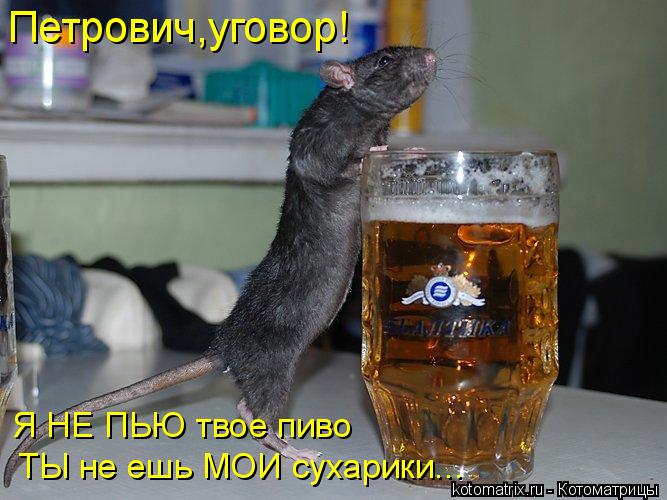 Котоматрица: Я НЕ ПЬЮ твое пиво ТЫ не ешь МОИ сухарики... Петрович,уговор!