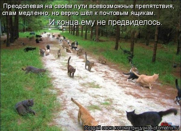 Котоматрица: Преодолевая на своём пути всевозможные препятствия,  спам медленно, но верно шёл к почтовым ящикам. И конца ему не предвиделось…