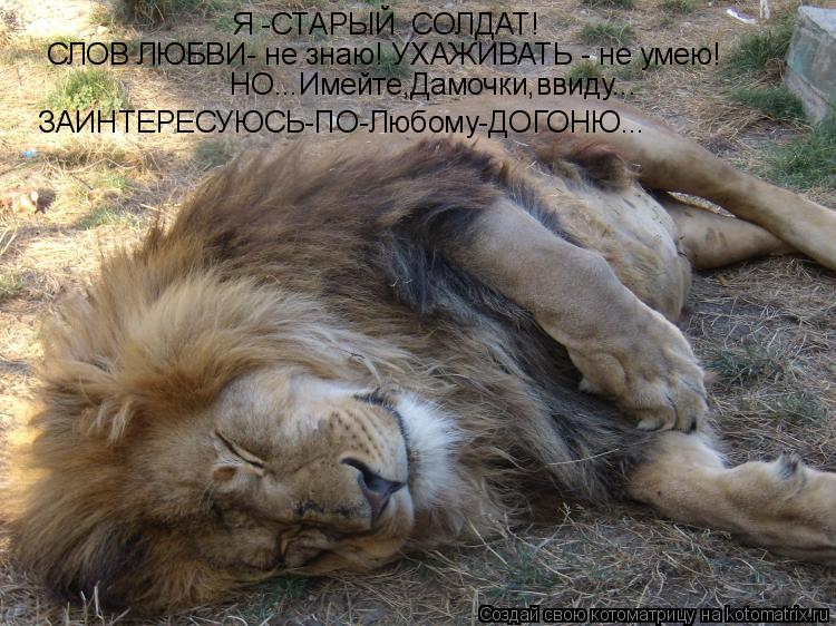 Котоматрица: Я -СТАРЫЙ  СОЛДАТ! СЛОВ ЛЮБВИ- не знаю! УХАЖИВАТЬ - не умею! НО...Имейте,Дамочки,ввиду... ЗАИНТЕРЕСУЮСЬ-ПО-Любому-ДОГОНЮ...