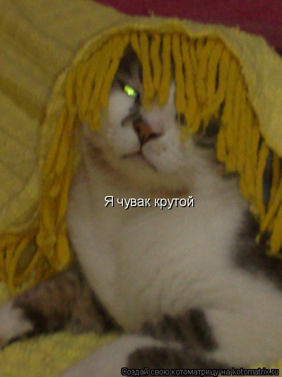 Котоматрица: Я чувак крутой