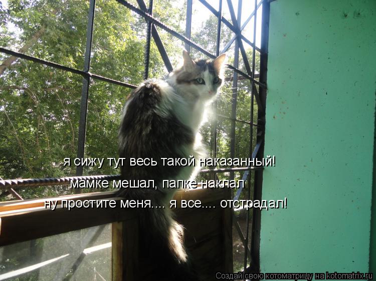 я сижу тут весь такой наказанный! мамке мешал, папке наклал ну простите меня.... я все.... отстрадал!... Котоматрица: я сижу тут весь такой наказанный! мамке мешал, папке наклал ну простите меня.... я все.... отстрадал!