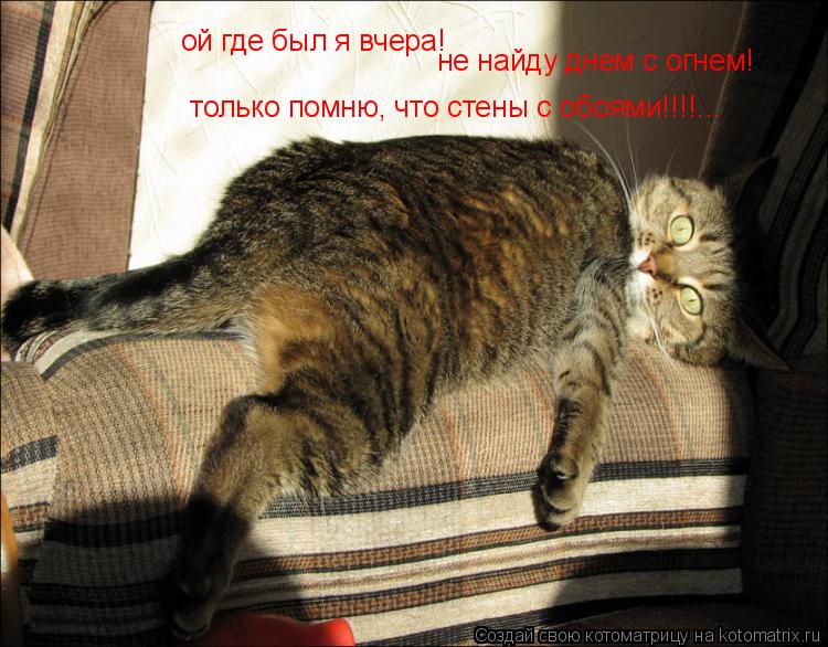 Котоматрица: ой где был я вчера! не найду днем с огнем!  только помню, что стены с обоями!!!!...