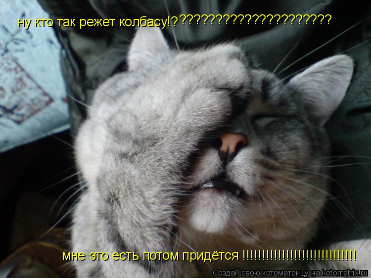 Котоматрица: ну кто так режет колбасу!? мне это есть потом придётся !!!!!!!!!!!!!!!!!!!!!!!!!!!!! ?????????????????????