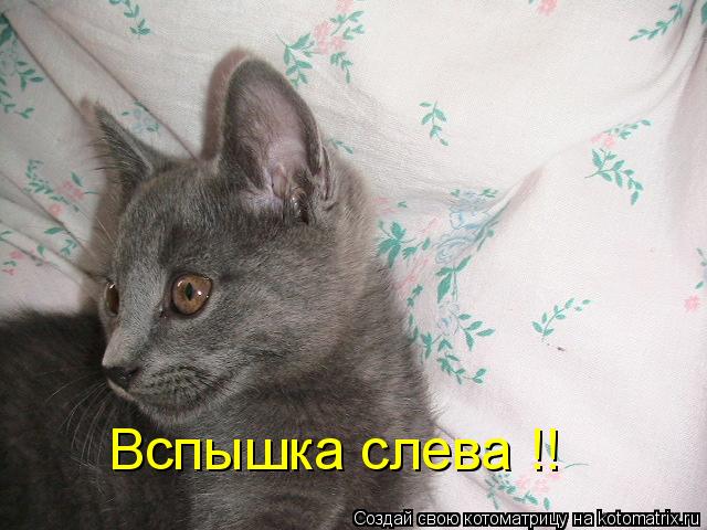 Котоматрица: Вспышка слева !!