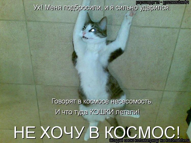 Ух! Меня подбросили, и я сильно ударился. Говорят в космосе несесомость. И что туда КОШКИ летали! НЕ ... Котоматрица: Ух! Меня подбросили, и я сильно ударился. Говорят в космосе несесомость. И что туда КОШКИ летали! НЕ ХОЧУ В КОСМОС!