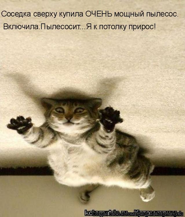 Котоматрица: Соседка сверху купила ОЧЕНЬ мощный пылесос. Включила.Пылесосит...Я к потолку прирос!