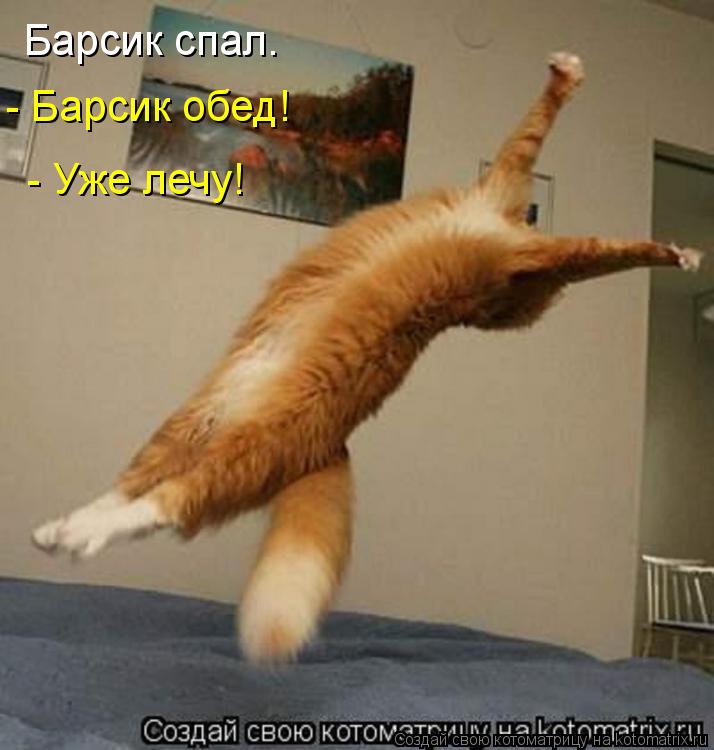 Котоматрица: Барсик спал.  - Барсик обед!  - Уже лечу!