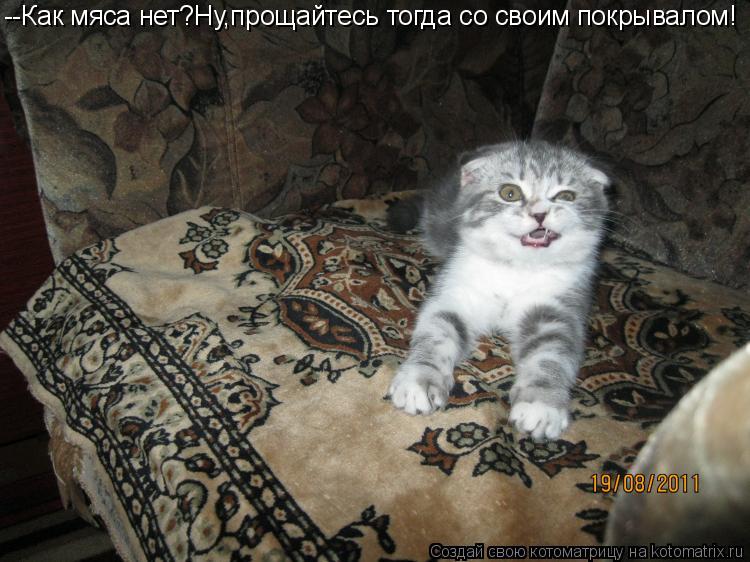 Котоматрица: --Как мяса нет?Ну,прощайтесь тогда со своим покрывалом!