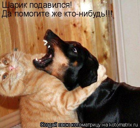 Котоматрица: Шарик подавился! Да помогите же кто-нибудь!!!