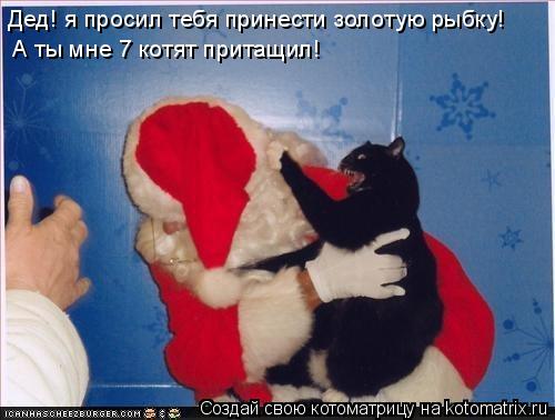Котоматрица: Дед! я просил тебя принести золотую рыбку! А ты мне 7 котят притащил!