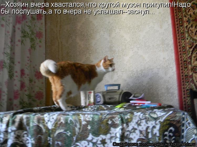 Котоматрица: --Хозяин вчера хвастался,что крутой музон прикупил!Надо бы послушать,а то вчера не услышал--заснул...