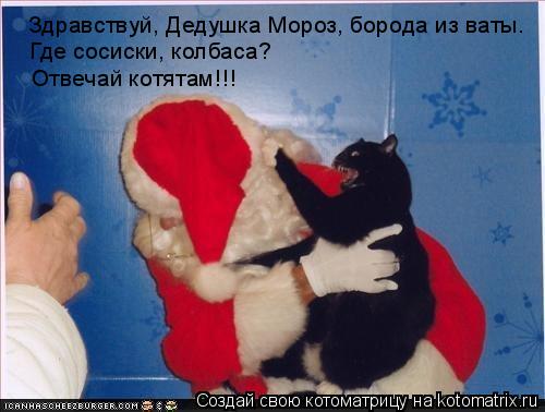 Котоматрица: Здравствуй, Дедушка Мороз, борода из ваты. Где сосиски, колбаса? Отвечай котятам!!!