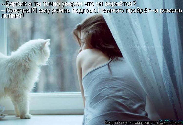 Котоматрица: --Барсик,а ты точно уверен,что он вернётся? --Конечно!Я ему ремнь подгрыз.Немного пройдёт--и ремень лопнет!