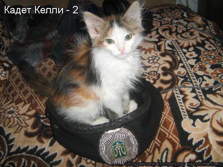 Котоматрица: Кадет Келли - 2
