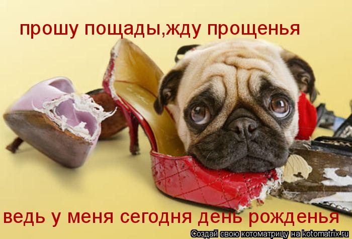 прошу пощады,жду прощенья ведь у меня сегодня день рожденья... Котоматрица: прошу пощады,жду прощенья ведь у меня сегодня день рожденья