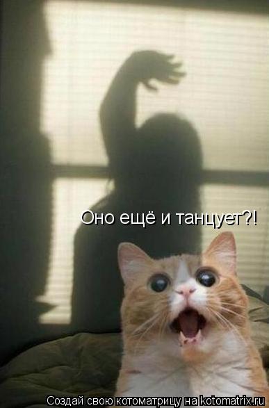 Котоматрица: Оно ещё и танцует?!