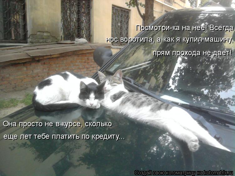 Котоматрица: Посмотри-ка на нее! Всегда нос воротила, а как я купил машину, прям прохода не дает! еще лет тебе платить по кредиту... Она просто не в курсе, ск