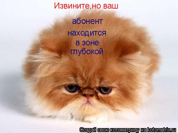 Котоматрица: Извините,но ваш  абонент  находится  в зоне  глубокой