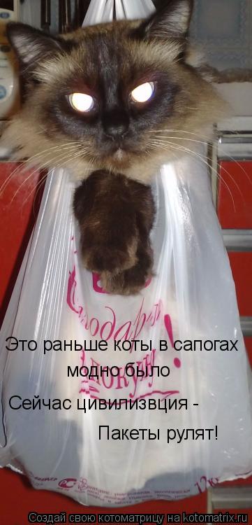 Котоматрица: Это раньше коты в сапогах  модно было Сейчас цивилизвция -  Пакеты рулят!
