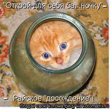 Котоматрица: "Открой для себя ба...ночку" - - Райское "досождение"!