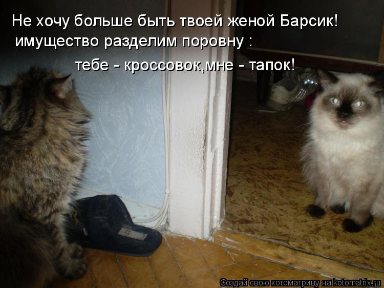 Котоматрица: Не хочу больше быть твоей женой Барсик! имущество разделим поровну : тебе - кроссовок,мне - тапок!