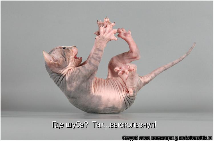 Котоматрица: Где шуба? Так...выскользнул!