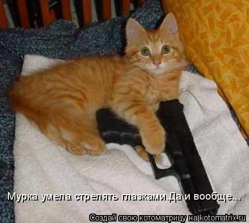 Котоматрица: Мурка умела стрелять глазками.Да и вообще...