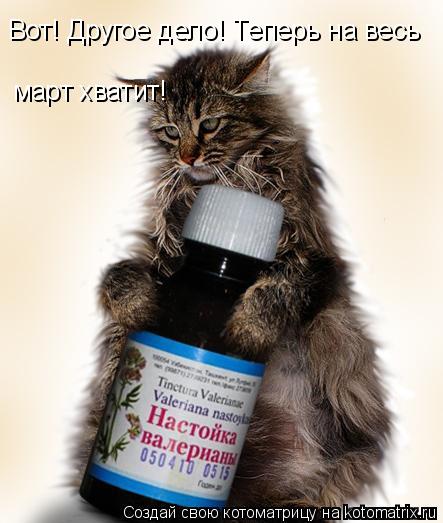 Котоматрица: Вот! Другое дело! Теперь на весь март хватит!