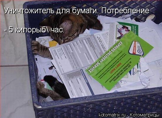 Котоматрица: Уничтожитель для бумаги. Потребление - 5 килорыб\ час.