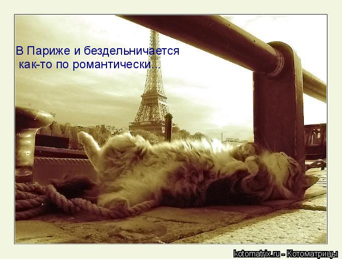 Котоматрица: В Париже и бездельничается  как-то по романтически...