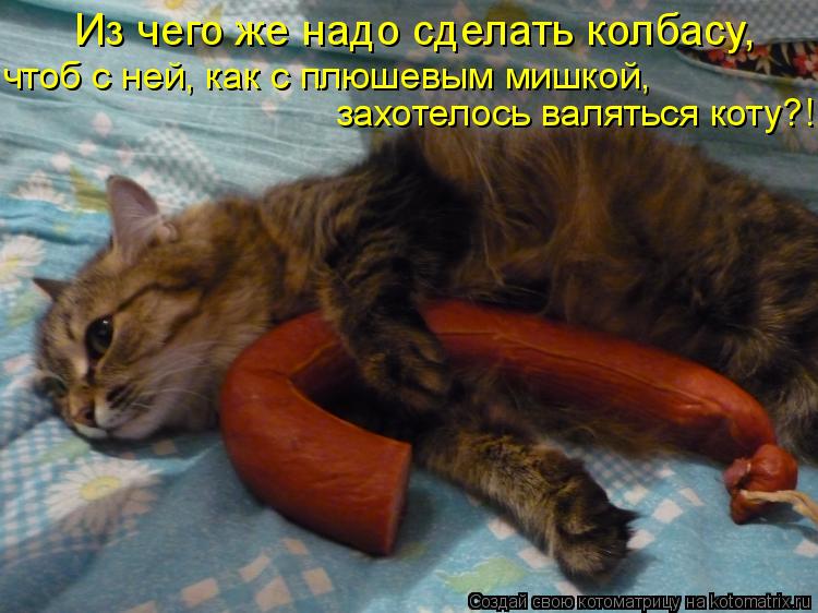 Котоматрица: захотелось валяться коту?! чтоб с ней, как с плюшевым мишкой, Из чего же надо сделать колбасу,