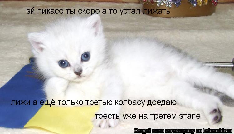Котоматрица: эй пикасо ты скоро а то устал лижать лижи а ещё только третью колбасу доедаю  тоесть уже на третем этапе